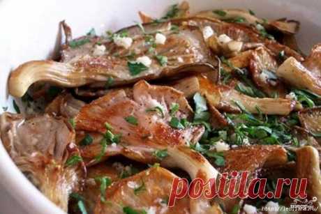 Вешенки. Как вкусно приготовить