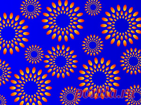 Illusion | Illusion