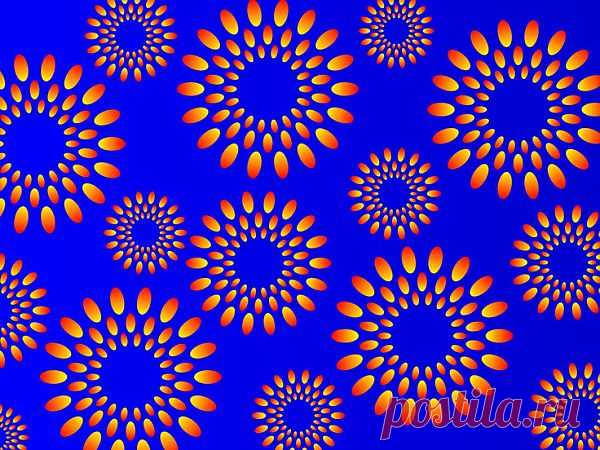 Illusion | Illusion