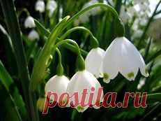 красивые картинки - 4 млн картинок. Поиск@Mail.Ru