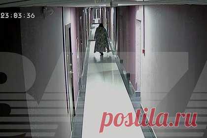 Россиянка в поисках шпица переполошила соседей и попала на видео. Жительница Екатеринбурга в поисках потерявшегося шпица переполошила соседей. Действия россиянки попали на видео, соответствующие кадры опубликовало издание Baza в Telegram-канале. На ролике видно, как девушка выходит с собакой из лифта на площадку этажа, однако в последний момент питомец забегает обратно.