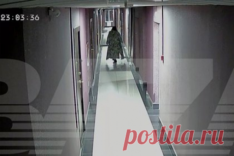 Россиянка в поисках шпица переполошила соседей и попала на видео. Жительница Екатеринбурга в поисках потерявшегося шпица переполошила соседей. Действия россиянки попали на видео, соответствующие кадры опубликовало издание Baza в Telegram-канале. На ролике видно, как девушка выходит с собакой из лифта на площадку этажа, однако в последний момент питомец забегает обратно.