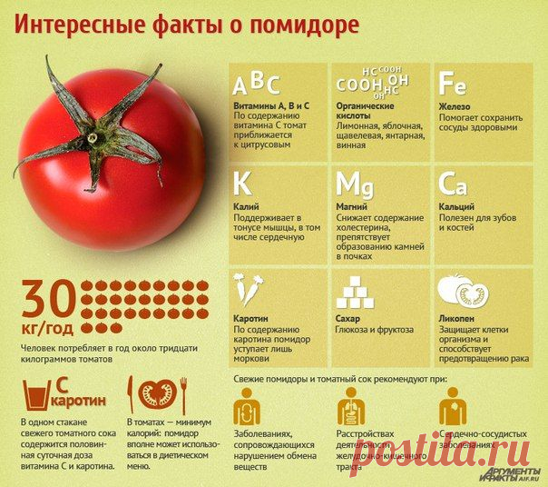 Интересные факты о помидоре