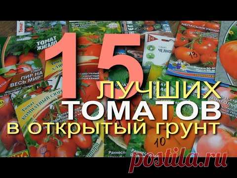 ЛУЧШИЕ ТОМАТЫ для ОТКРЫТОГО ГРУНТА. Советы от ЗЕЛЕНОГО ОГОРОДА.