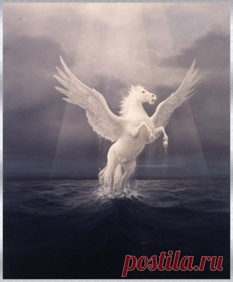 Мифические лошади – Пегас » Сайт о лошадях KoHuKu.ru