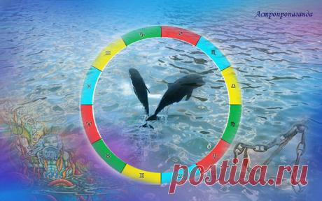 27 августа 2019. Советы астролога на день | Астропропаганда | Яндекс Дзен
✨ Автор: астролог Нина Стрелкова. 🌞 🌙 Советы астролога. 27 августа 2019. Этот день вполне гармоничный, но больше подходящий для спокойных, уединенных занятий, размышлений, духовной работы, глубокого погружения в изучение чего-либо. В практических делах возможны затруднения или замедления, а для активных занятий и интенсивного общения день вообще не подходит...