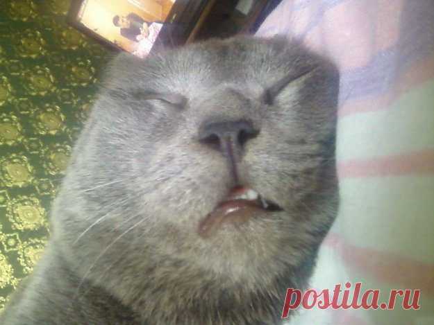 Утро добрым не бывает / Писец - приколы интернета