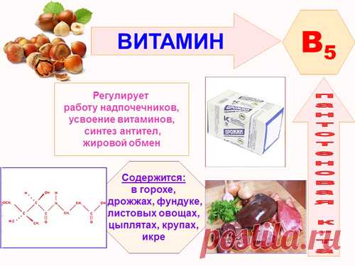 Витамин В5 в таблетках, ампулах. Инструкция по применению, для чего нужен организму, где купить, цена