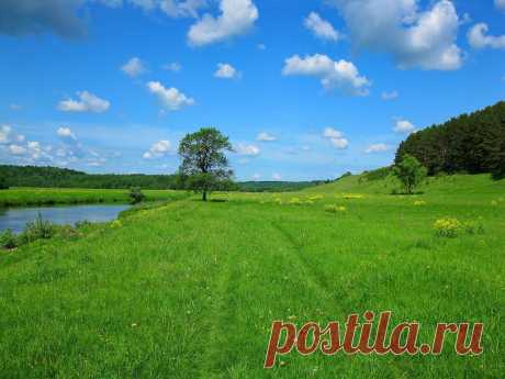 река Угра,национальный парк &quot;Угра&quot;