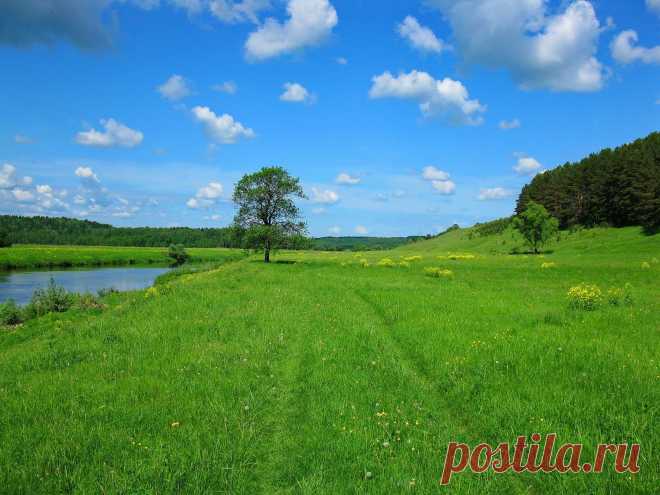 река Угра,национальный парк "Угра"