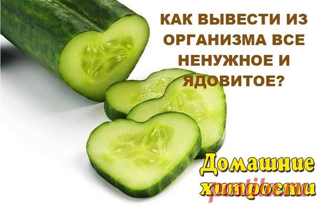КАК ВЫВЕСТИ ИЗ ОРГАНИЗМА ВСЕ НЕНУЖНОЕ И ЯДОВИТОЕ?