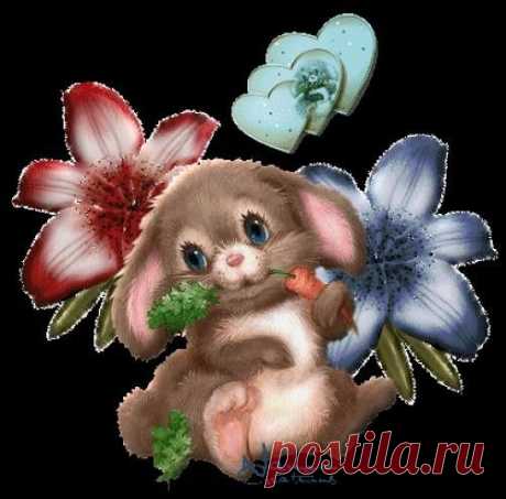 Шуточные приметы