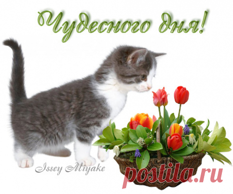 С ТОБОЙ - Откровенный разговор - Группы Мой Мир