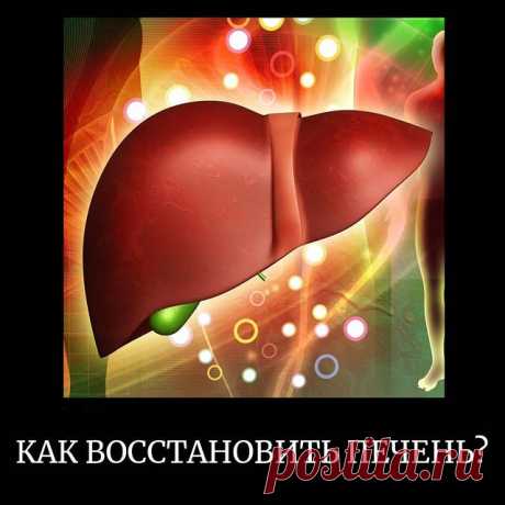 КАК ВОССТАНОВИТЬ ПЕЧЕНЬ?

Одно из главных заблуждений о печени - если не злоупотреблять алкоголем, печень будет здорова.

Но это ошибочное мнение, поскольку жирная, высокоуглеводная пища и химические добавки в продуктах, также наносят удар по печени.

При регулярном приёме вредной пищи, в органе скапливаются липопротеины, формируя жировой гепатоз. Если продолжительное время патологию не купировать, печёночная ткань замещается соединительной, на этом фоне развивается фиброз...