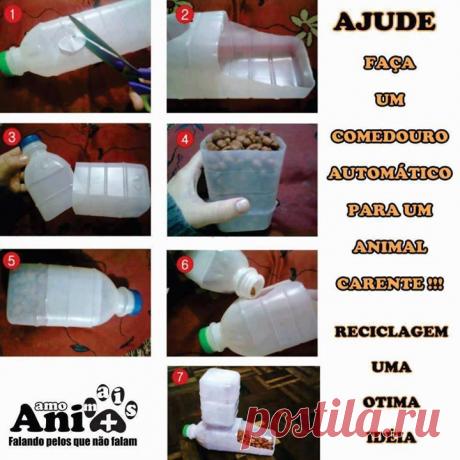 Biosustentavel - Timeline Photos