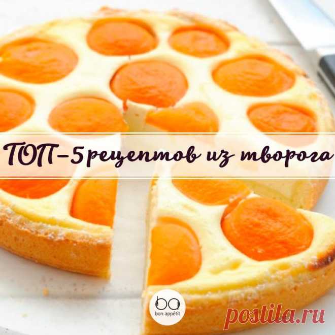 ТОП–5 рецептов из творога