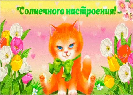 Открытка гиф для друзей