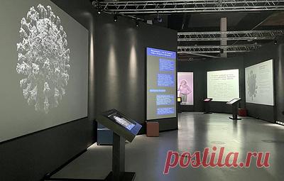 В Петербурге открылась выставка о ковиде, оспе обезьян и других вирусах. Всего такие выставки примут 23 города