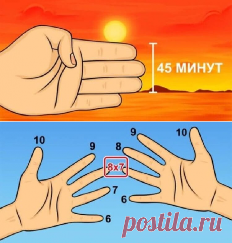 8 шпаргалок из школы, которые могут пригодиться в жизни — Infodays