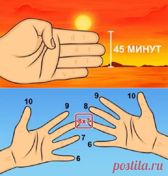 8 шпаргалок из школы, которые могут пригодиться в жизни — Infodays