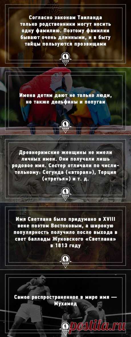 9 неожиданных фактов про имена и фамилии