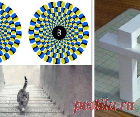 Головоломки, оптические иллюзии, загадки - все это способствует тренировке мозга