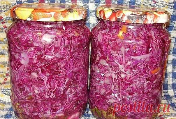 Красная маринованная капуста. - Квашение, соление, маринование - Консервация - Рецепты - Кулинарная книжка.