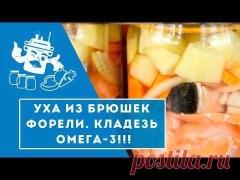 Уха из брюшек форели в автоклаве 