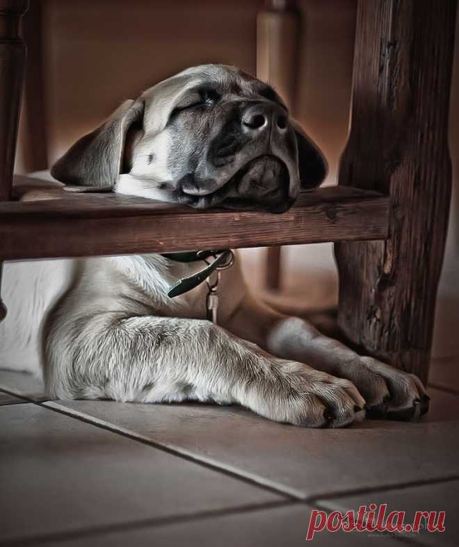 500px / T E R R I B L Y * T I R E D by Yves Schüpbach