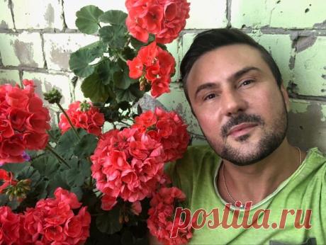 Простой способ посева герани | Виталий Декабрев | Яндекс Дзен