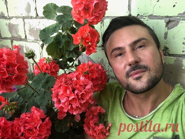 Простой способ посева герани | Виталий Декабрев | Яндекс Дзен