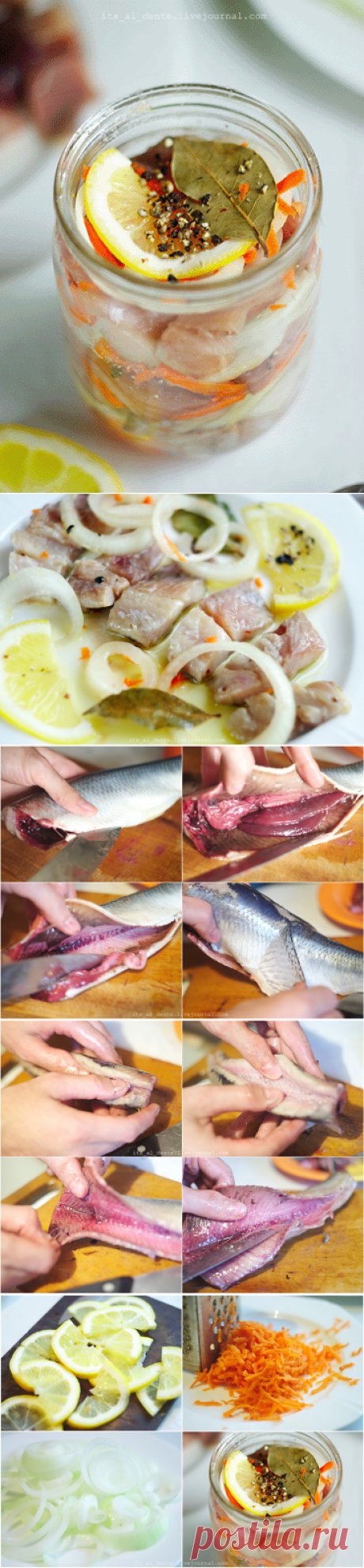 Селедка по-голландски: : вкуснее просто не существует