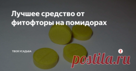 Лучшее средство от фитофторы на помидорах Фитофтора – коварное заболевание. При благоприятных для неё условиях (холодная и влажная погода), болезнь распространяется практически молниеносно, унося с собой весь ваш урожай и все ваши труды. Чаще всего от фитофтороза страдают томаты. Сначала чёрные пятна появляются на листьях и стеблях, а позже и на самих плодах.
Существует проверенный годами способ профилактики и лечения фитофтороза. Для это