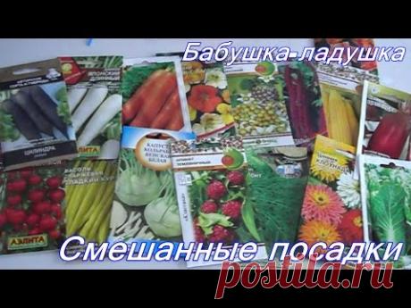 Смешанные посадки.Как собрать несколько урожаев с одной грядки. - YouTube