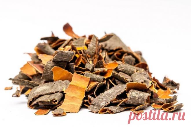 Целебные средства от гастрита.