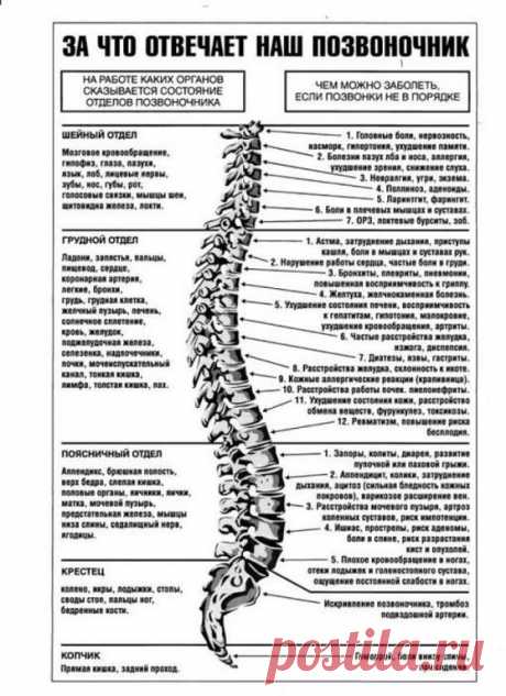 (90) Одноклассники