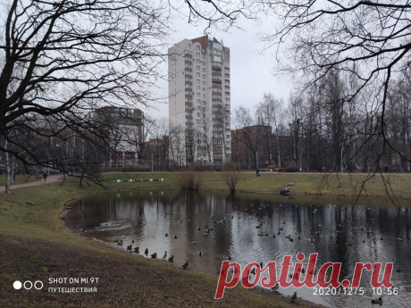 Петербург. Серебряный пруд - былая "легенда аборигенов Лесного" Пруд, где "лешие" водились,
вспоминают старожилы.