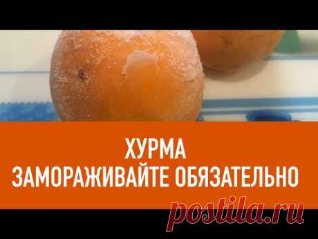 ХУРМА - ЗАМОРОЗЬТЕ ОБЯЗАТЕЛЬНО ! НЕ РИСКУЙТЕ ЗДОРОВЬЕМ !!!