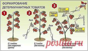 (46) Одноклассники