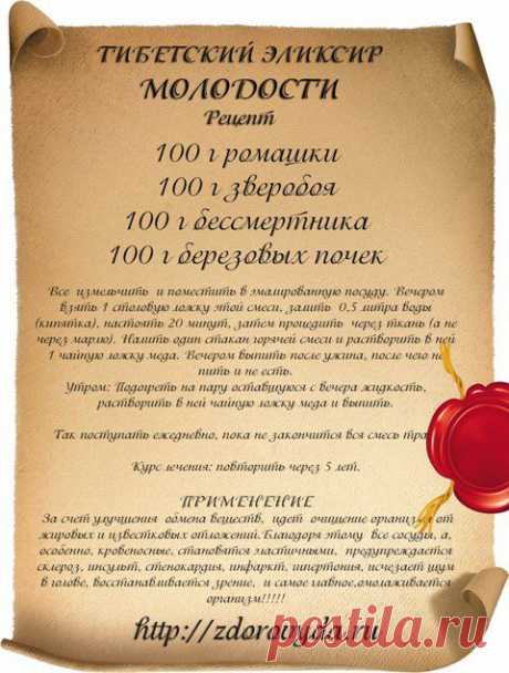 Березовые почки лечебные свойства. Рецепт Тибетского эликсира