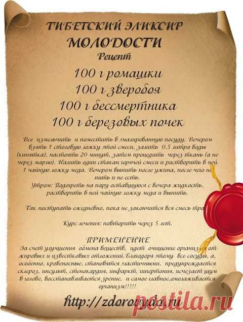Березовые почки лечебные свойства. Рецепт Тибетского эликсира