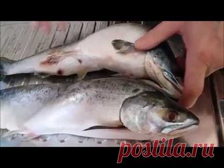 Разделка горбуши быстро, без грязи.Cutting salmon quickly, without dirt - YouTube