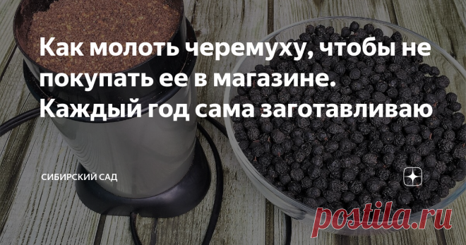 Как молоть черемуху, чтобы не покупать ее в магазине. Каждый год сама заготавливаю Молотая черемуха стоит дорого. У нас 250 рублей за пакетик 250 г. А на пирог для большой семьи как минимум 2 стакана черемуховой муки нужно. Дороговатое удовольствие. Поэтому я взяла за правило самой заготавливать черемуху, сушить ее и потом молоть на все мои кулинарные нужды.