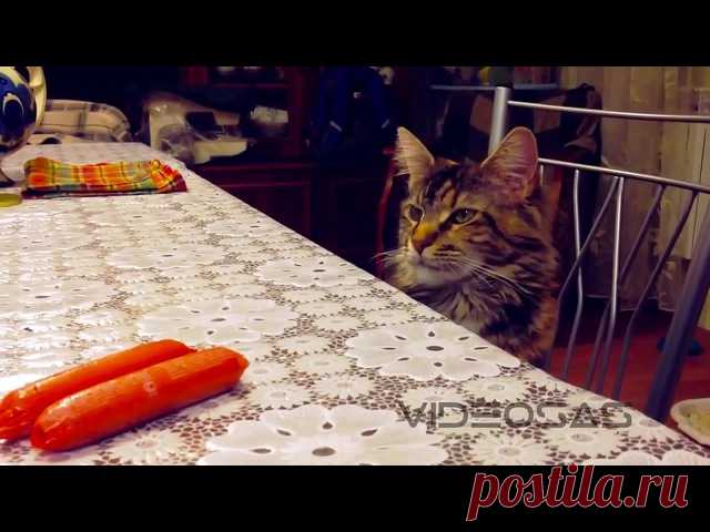 Татьяна Прокопьева