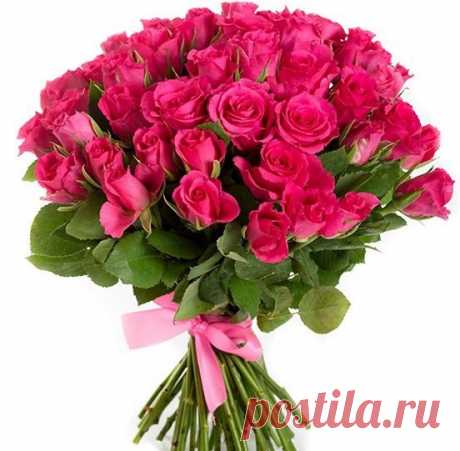 Фаина Кленкова