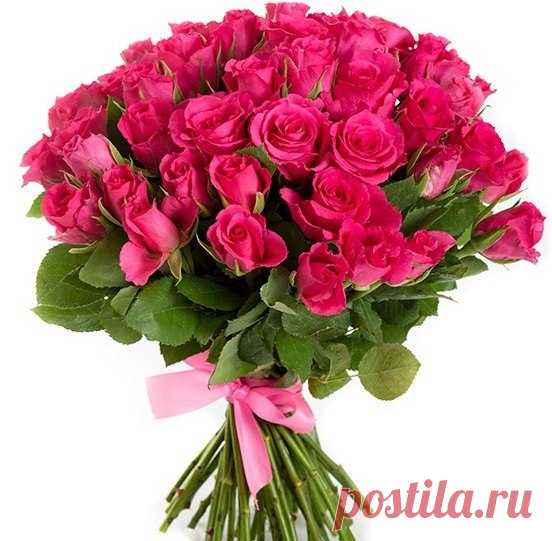 Фаина Кленкова