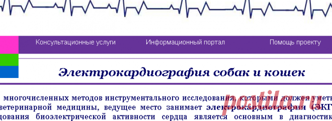 Электрокардиография (ЭКГ) - Эффективный метод диагностики болезней сердца у животных