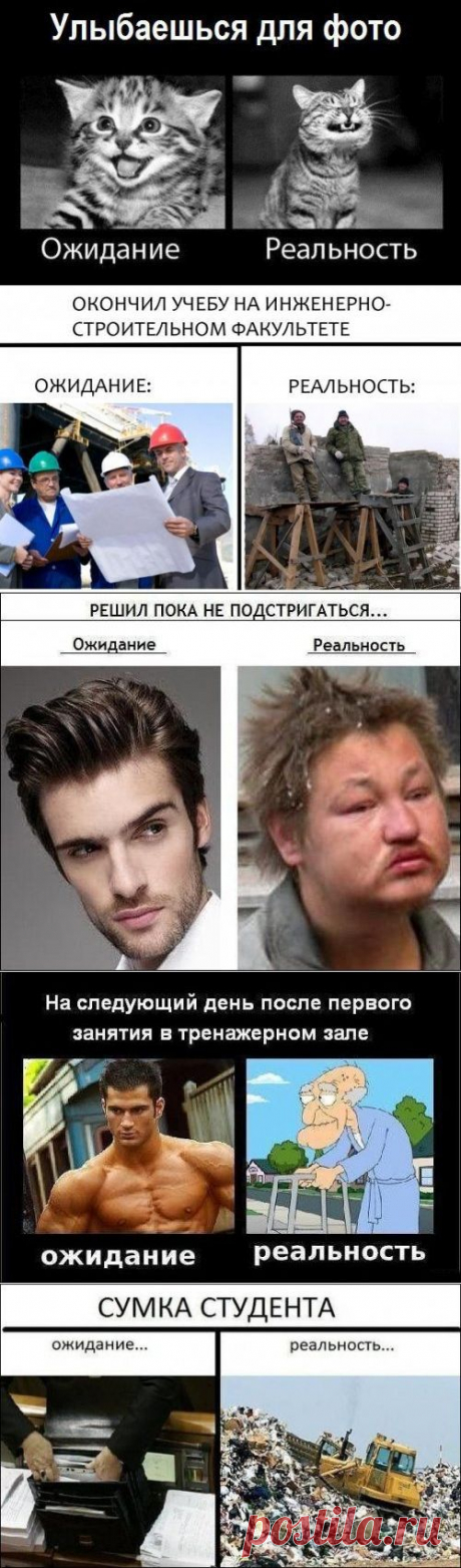 Ожидания vs. реальность (19 фото)