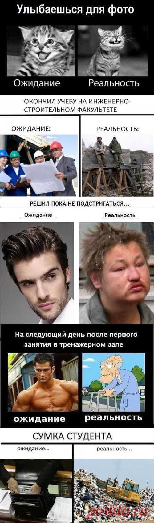 Ожидания vs. реальность (19 фото)