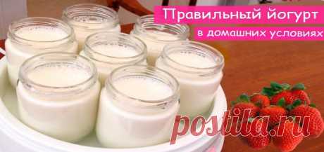Простые рецепты йогурта в домашних условиях. — Полезные советы
